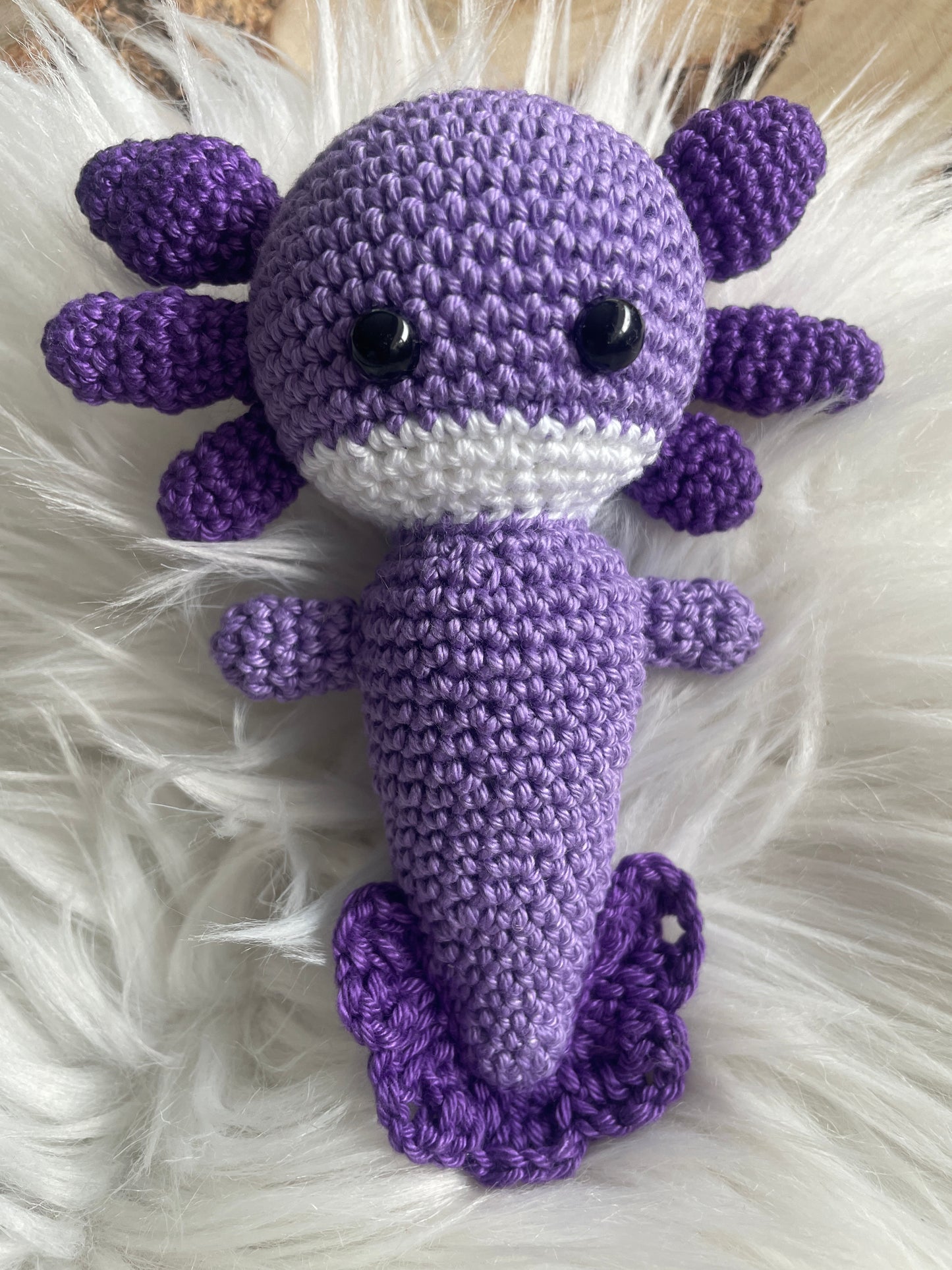 Axolotl Lumi